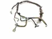 Türverkabelung hinten links