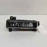 Nebelscheinwerfer vorne rechts