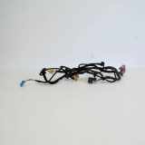 Kabel Tür vorne rechts VW PASSAT B6 (3C2) 2.0 TDI 3C2971557AB