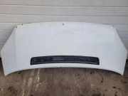 Motorhaube FORD TRANSIT 2.2 TDCi