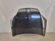 Motorhaube RENAULT LAGUNA Coupe (DT0/1) 2.0 dCi (DT01, DT09, DT12, DT1D)