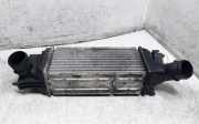 Ladeluftkühler PEUGEOT 407 (6D_) 2.0 HDi 135 874823NJ