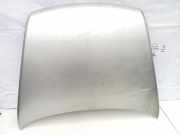 Motorhaube VW TOUAREG (7LA, 7L6, 7L7) 2.5 R5 TDI