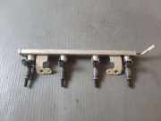 Düsenstöcke Dacia Duster (HS) 175200117R