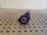 Riemenspanner NISSAN X-TRAIL (T31) 2.0 dCi 8200357406