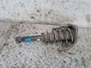 Stoßdämpfer vorne links CITROËN C5 I Break (DE_) 2.0 16V (DERFNF, DERFNC, RERFNC) 315119 814903011262