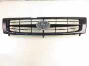 Gitter HYUNDAI GALLOPER II (JK-01) 2.5 TD intercooler