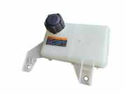 AUSGLEICHSBEHÄLTER KÜHLWASSER NISSAN LEAF (ZE0) Electric