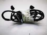 Kabelbaum Hinteren Parksensoren MERCEDES-BENZ R (W251, V251) R 320 CDI 4-matic (251.022, 251.122)