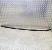 Dachreling links BMW X3 (G01, F97) xDrive 30d 8070691