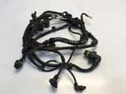 Motor Kabelbaum BMW 3 (G20, G28) 3 (G20) 316 d 8580193