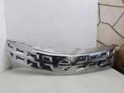 Vorderer oberer Gitter NISSAN MURANO I (Z50) 3.5 4x4 DS0724701