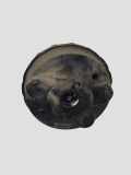 Unterdruck-Bremskraftverstärker FORD MONDEO IV (BA7) 2.0 TDCi A426K03775764044