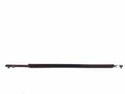 Türverkleidung links hinten Toyota Prius (W3) 7574047020