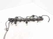 Einspritzleiste Volvo V60 I (155) 31303612