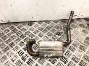 Auspuffanlage hinten Land Rover Discovery III (L319) 9001800D