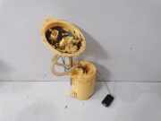 Kraftstoffpumpe BMW X3 (F25) 7216526