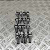 Radschraubensatz POLESTAR 2 (P) EV 31423735