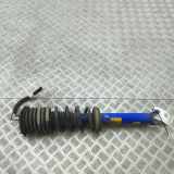 Stoßdämpfer hinten links NISSAN GT-R (R35) V6 E6210-KB50A