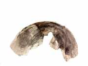 Radhaus links hinten BMW 7er (F01, F02, F03, F04)