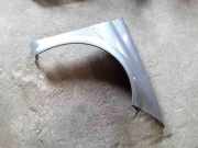 Kotflügel vorne rechts RENAULT MEGANE II (BM0/1_, CM0/1_) 1.9 dCi (BM0G, CM0G)