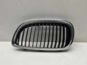 Vorderer oberer Gitter BMW 3 Cabrio (E93) 320 d 22405910