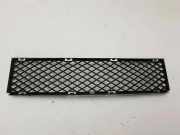 Gitter vorne unten BMW 7 (E65, E66, E67) 750 i, Li