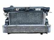 Armaturenbrett PEUGEOT RCZ 1.6 16V 9686955489