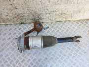 Pneumo-Stoßdämpfer hinten links AUDI A8 D3 (4E2, 4E8) 4.2 TDI quattro 4E0616001F