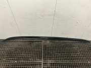 Dachreling links BMW X1 (F48) xDrive 20 d 741046505