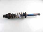 Stoßdämpfer hinten rechts VW POLO (6N2) 1.4