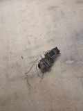 Höhenverstellung links AUDI A8 D2 (4D2, 4D8) 2.8