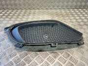 Gitter vorne unten MERCEDES-BENZ A (W176) A 200 CDI / d (176.008) A1768852700