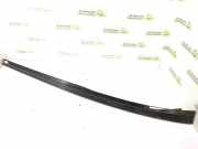 Dachleiste links MERCEDES-BENZ C (W204) C 320 CDI (204.022) 2046901582