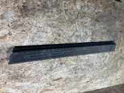 Schwellerinnenverkleidung vorne links FORD TRANSIT CUSTOM 2.2 TDCi BK21B13249AB3