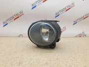 Nebelscheinwerfer links BMW X5 (E53) 3.0 d 6920885 63176920885