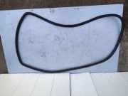 Türgummi links hinten Audi Q7 (4L) 4L0833721