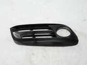 Gitter Grill vorne rechts BMW 5 Touring (F11) 530 d 7331730