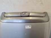 Motorhaube HYUNDAI SANTA FÉ I (SM) 2.0 CRDi