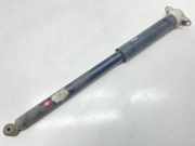 Stoßdämpfer hinten links