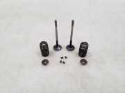 Auslassventil BMW 5er (F10)