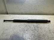 Heckklappe Gasdruckfeder rechts BMW 5 Touring (F11) 535 i 7207011
