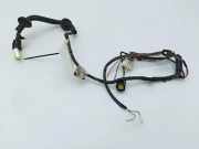 Türverkabelung hinten links JAGUAR XJ (X308) 4.0 LNA3190F