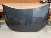 Motorhaube SEAT IBIZA V (KJ1) 1.0 TSI 3V0823185A 3V0823186A