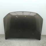 Motorhaube VW AMAROK (2H_, S1B) 2.0 BiTDI 4motion 2H0823033C