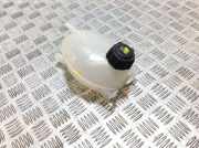 Ausgleichsbehälter DACIA DUSTER 1.6 16V LPG 217100680R