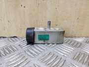 Expansionsventil für Klimaanlage Kia Sorento I (JC) F108JD6LA01