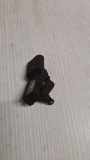 LUFTDRUCKSENSOR AUDI A4 Avant (8ED, B7) 2.0 TDI 16V 38906051B