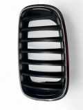 Kühlergrill links BMW X5 (E70) 7171395