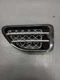 Gitter vorne unten LAND ROVER RANGE ROVER SPORT (L320) 2.7 D 4x4 M0N7A